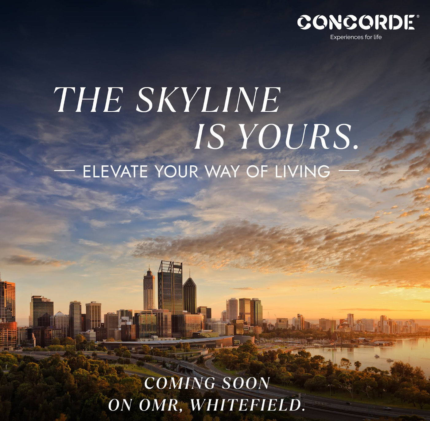 Concorde Eleve Images