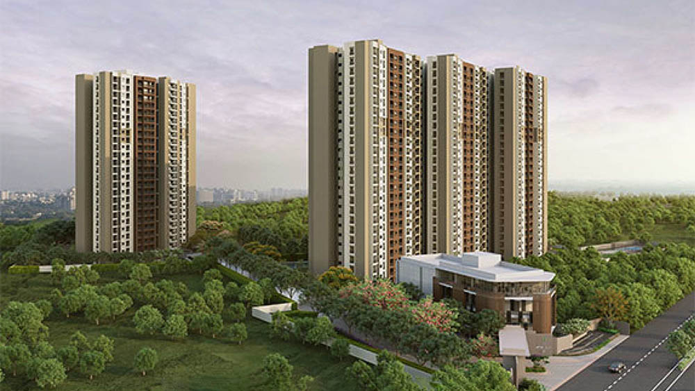 Goyal & Co Orchid Life Images